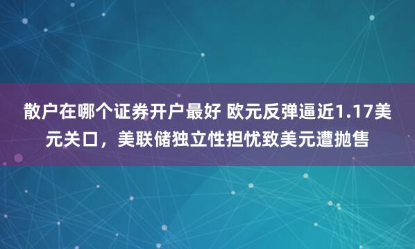散户在哪个证券开户最好 欧元反弹逼近1.17美元关口，美联储独立性担忧致美元遭抛售
